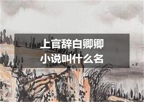 上官辞白卿卿小说叫什么名