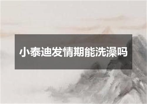 小泰迪发情期能洗澡吗