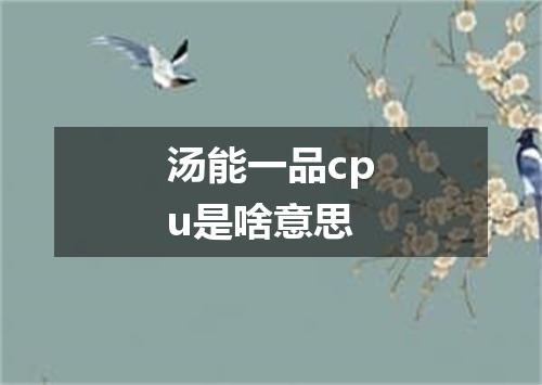汤能一品cpu是啥意思