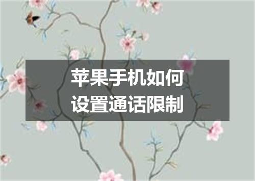 苹果手机如何设置通话限制
