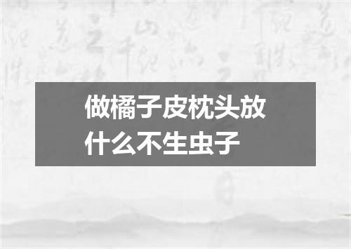 做橘子皮枕头放什么不生虫子