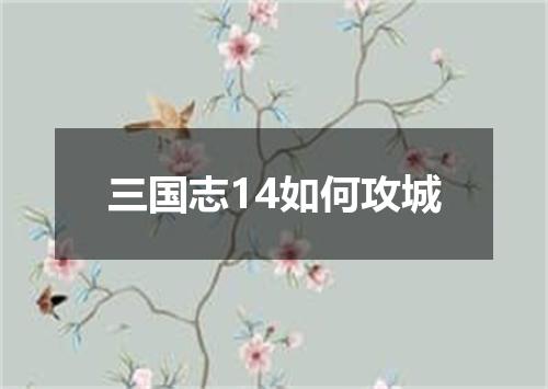 三国志14如何攻城