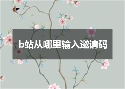 b站从哪里输入邀请码