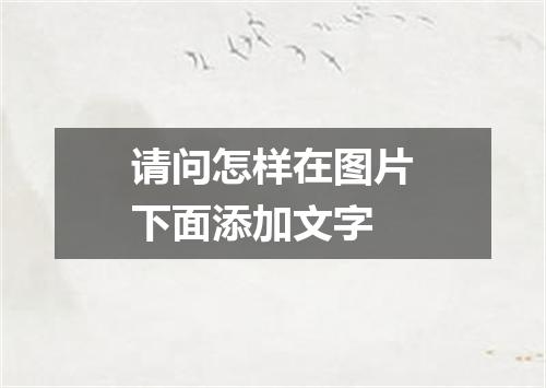 请问怎样在图片下面添加文字