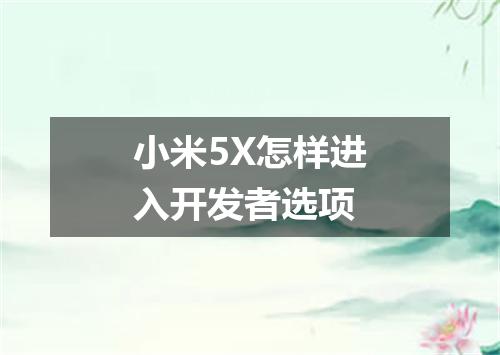 小米5X怎样进入开发者选项