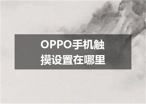OPPO手机触摸设置在哪里