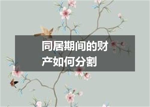 同居期间的财产如何分割