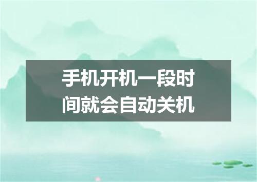 手机开机一段时间就会自动关机