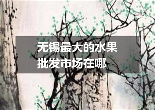 无锡最大的水果批发市场在哪