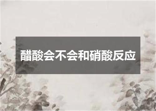 醋酸会不会和硝酸反应