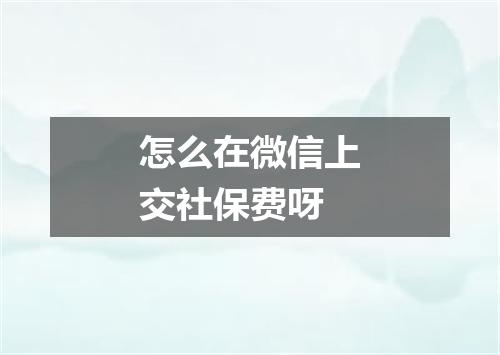 怎么在微信上交社保费呀