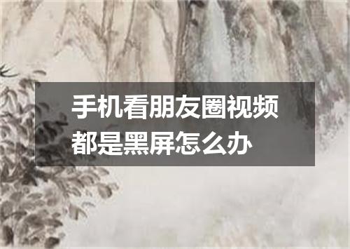 手机看朋友圈视频都是黑屏怎么办