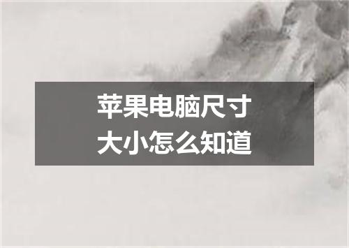 苹果电脑尺寸大小怎么知道