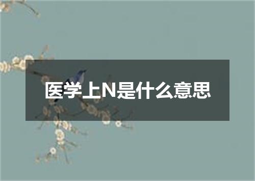 医学上N是什么意思