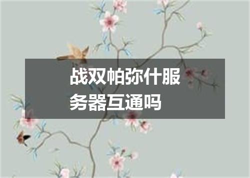 战双帕弥什服务器互通吗