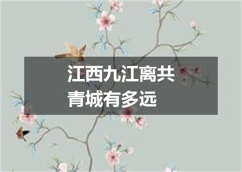 江西九江离共青城有多远