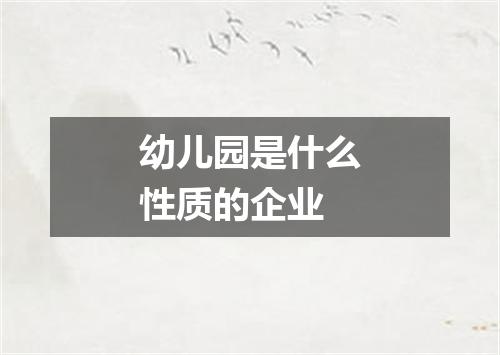 幼儿园是什么性质的企业