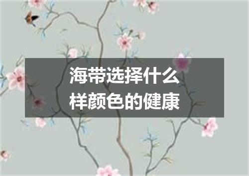 海带选择什么样颜色的健康