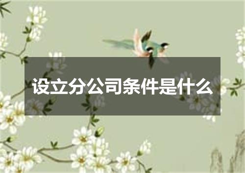 设立分公司条件是什么