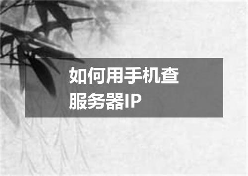 如何用手机查服务器IP