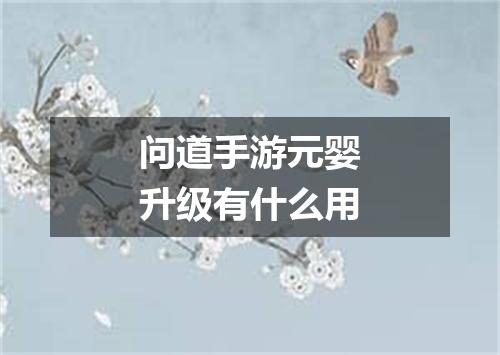 问道手游元婴升级有什么用