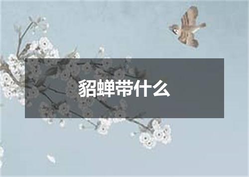 貂蝉带什么
