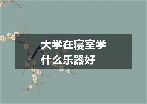 大学在寝室学什么乐器好