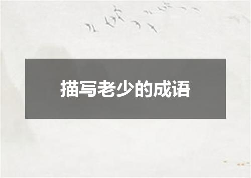 描写老少的成语