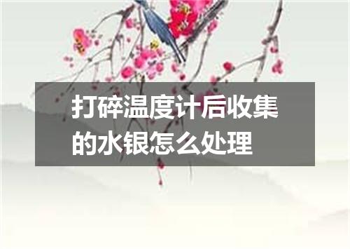 打碎温度计后收集的水银怎么处理