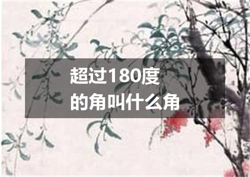超过180度的角叫什么角