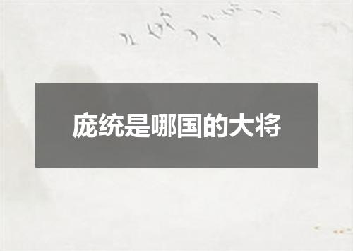 庞统是哪国的大将