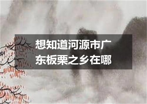 想知道河源市广东板栗之乡在哪