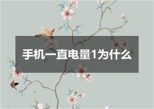 手机一直电量1为什么