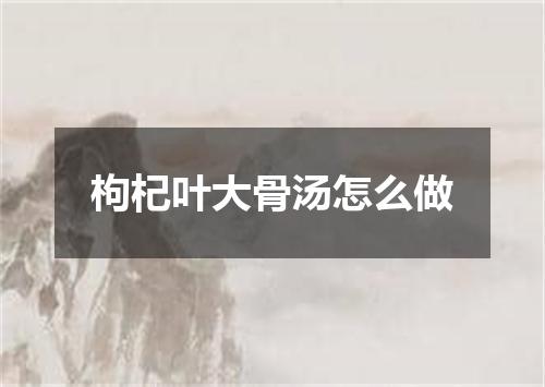 枸杞叶大骨汤怎么做