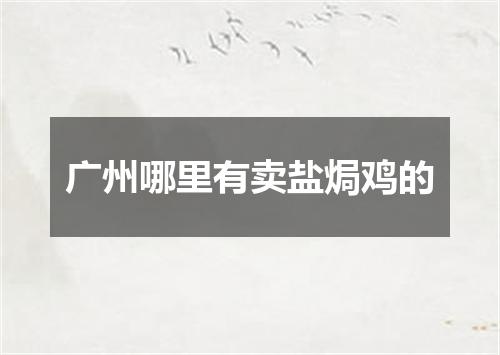 广州哪里有卖盐焗鸡的