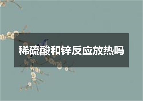 稀硫酸和锌反应放热吗