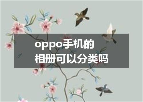 oppo手机的相册可以分类吗