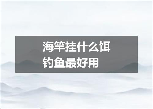 海竿挂什么饵钓鱼最好用