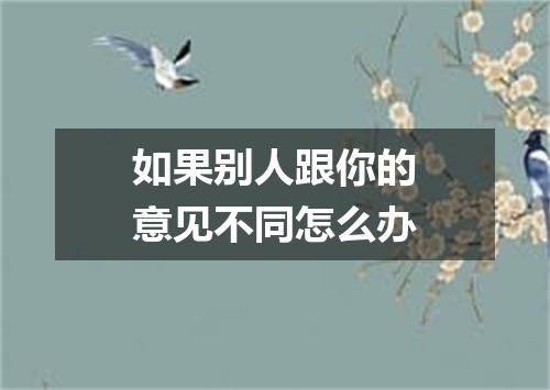 如果别人跟你的意见不同怎么办