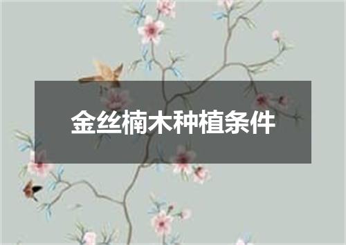 金丝楠木种植条件