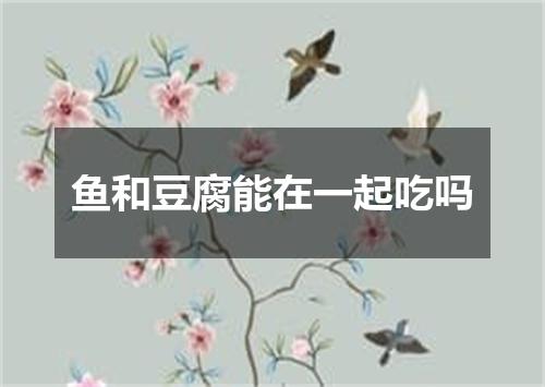 鱼和豆腐能在一起吃吗