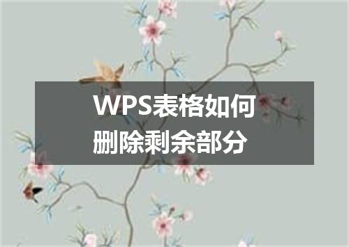 WPS表格如何删除剩余部分
