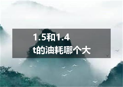 1.5和1.4t的油耗哪个大