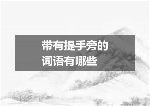 带有提手旁的词语有哪些