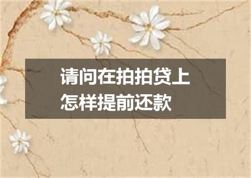 请问在拍拍贷上怎样提前还款