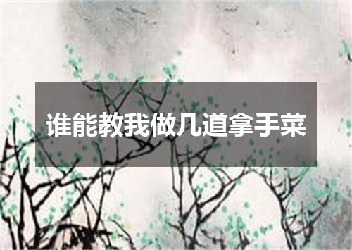 谁能教我做几道拿手菜