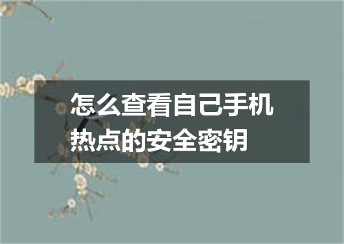 怎么查看自己手机热点的安全密钥