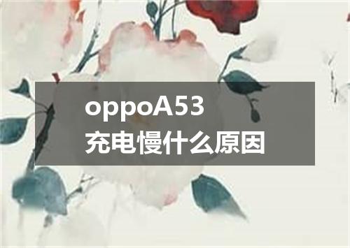 oppoA53充电慢什么原因