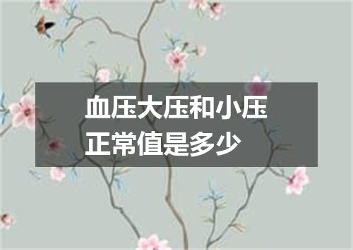 血压大压和小压正常值是多少