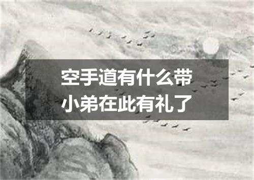 空手道有什么带小弟在此有礼了